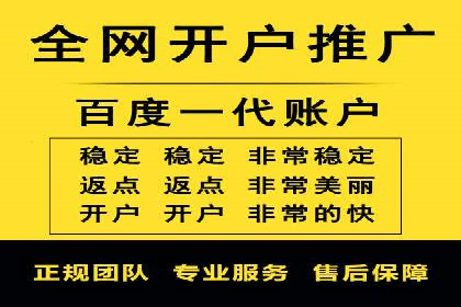 SEM网络推广案例：精准营销助力品牌成长